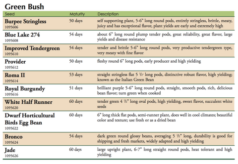 Tendergreen Bush Bean Label