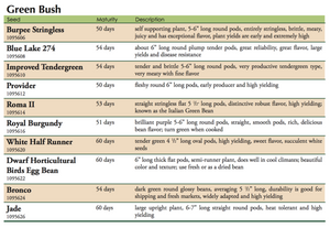 Jade Bush Bean Label