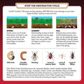 Life Cycle of grub in lawns