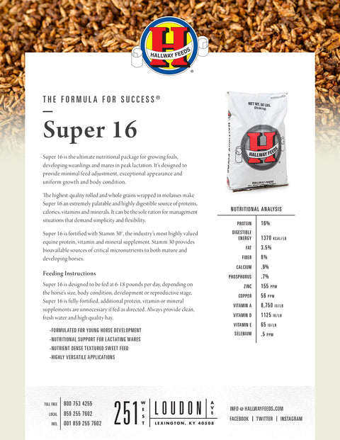 Hallway Super 16 Bag Label