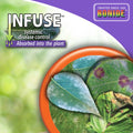 Infuse absorbs into plant