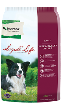 Loyall life adult dog food- beef and barley