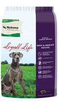 Loyall Life adult large breed dog food- beef and barley