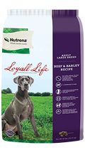 Nutrena loyall life large breed puppy clearance