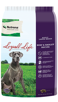 Loyall Life adult large breed dog food- beef and barley