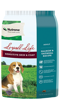 Loyall Life sensitive Skin and coat adult dog food- salmon and oatmeal