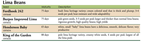 king of the Garden Lima Bean Label