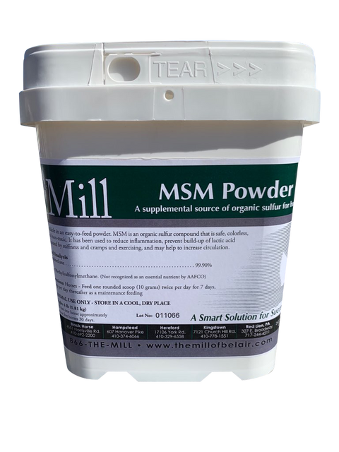 MSM Powder