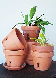 Terra Cotta Pottery