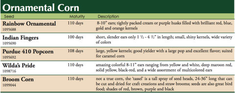 Rainbow Ornamental Corn Label