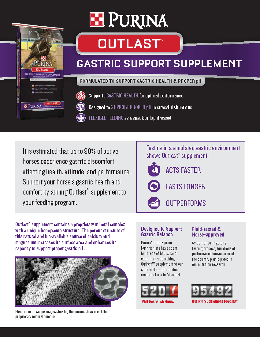 Purina Outlast Gastric Support Horse Supplement The Mill Bel Air, Black Horse, Red Lion