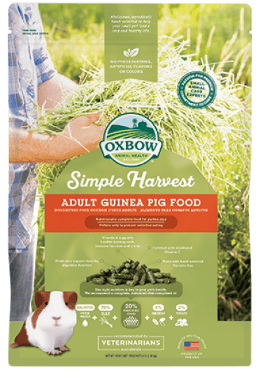 Oxbow guinea pig food on sale
