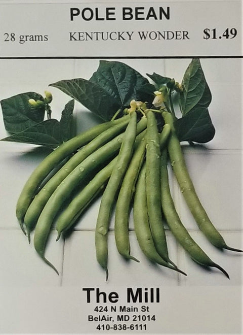 Pole Bean - Kentucky Wonder seed pack 