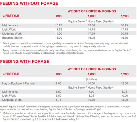 purina equine senior horse feed nutrition information