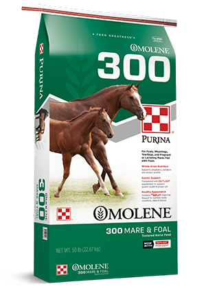 Purina Omolene 300 Growth Horse Feed