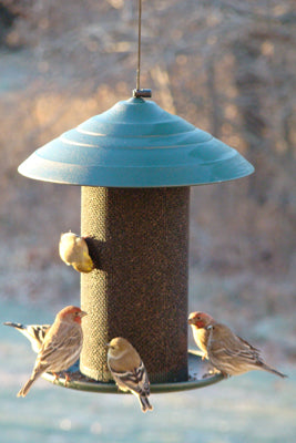 Woodlink Hunter green steel magnum nyjer bird feeder