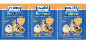Sav a chick Probiotics