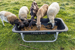 The Tarter Goat Bunk Feeder 