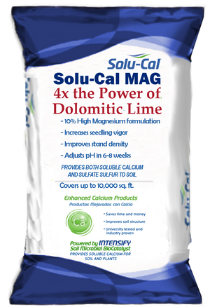 Solu-Cal Mag Plus Intensify BioCatalyst