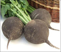Radish-Black Radish Round