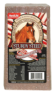 Herd Life Sturdy Steed Mineral Block Peppermint