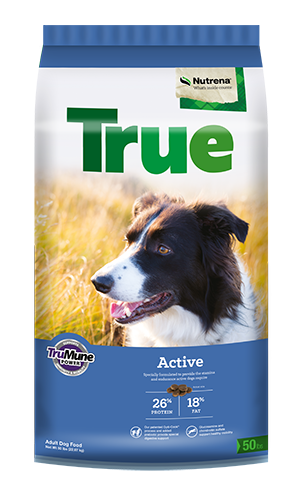 Products Nutrena True Active 26/18 Dog Food