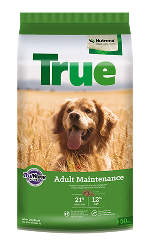 Nutrena True Adult Maintenance 21 12 Dog Food The Mill Bel Air