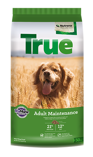 Nutrena True Adult Maintenance 21/12 Dog Food