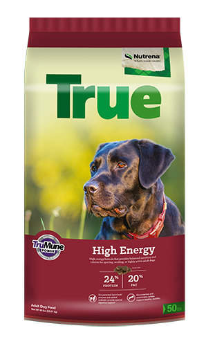 Nutrena True High Energy 24/20 Dog Food