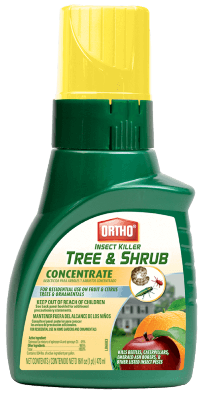 Ortho Insect Killer for Trees and Shrubs Concentrate