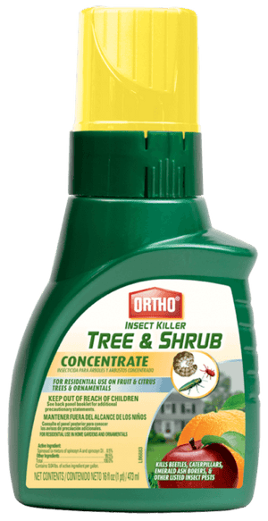 Ortho Insect Killer for Trees and Shrubs Concentrate