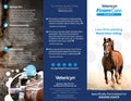 Vetericyn FoamCare Equine Shampoo Information