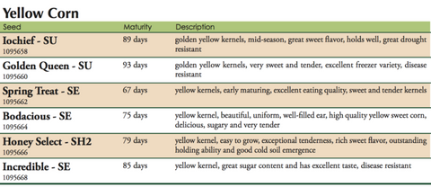 Yellow Corn Label