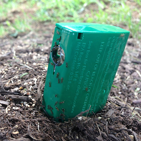 Terro outdoor Liquid Ant Bait Stakes