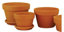 Terra Cotta Pottery