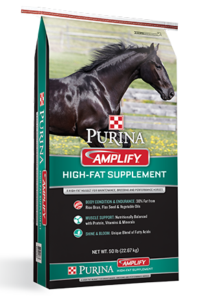 Purina Amplify