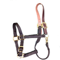 Breakaway Halter