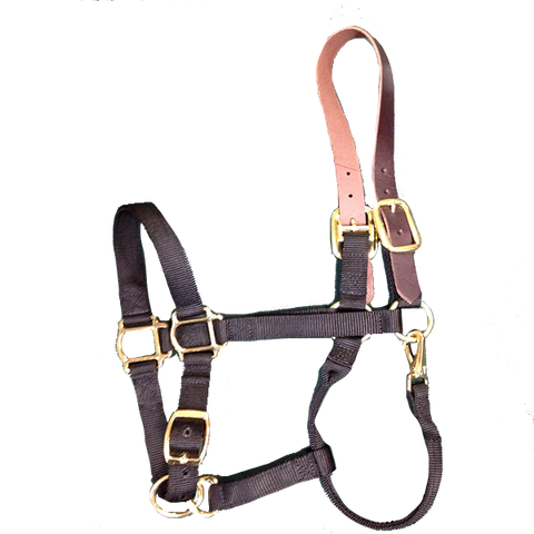 Breakaway Halter