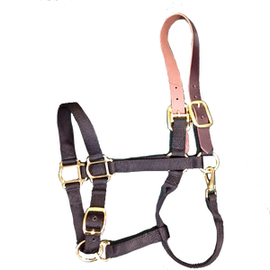 Breakaway Halter