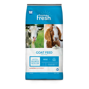 dairy goat feed