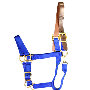 Breakaway Halter