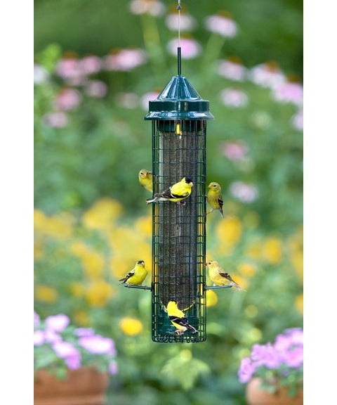 Brome Bird Squirrel Buster Finch Feeder