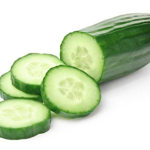 Burpless cucumber