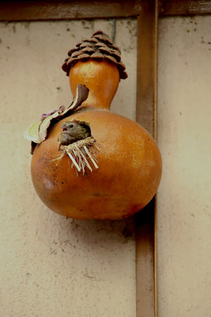 Gourd made into a birdhouse