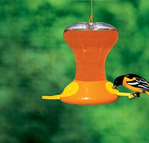 Songbird Essentials fliteline Junior Oriole