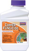 Bonide Copper Fungicide Concentrate