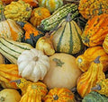 Mixed gourds