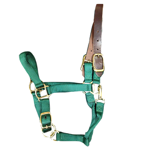 Breakaway Halter