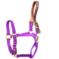 Breakaway Halter