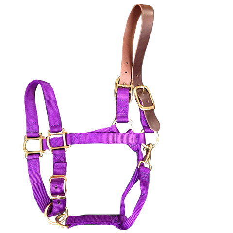 Breakaway Halter